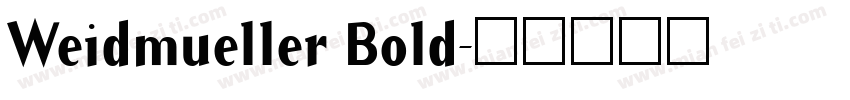 Weidmueller Bold字体转换